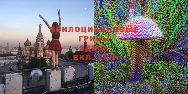 а пвп мука Армянск