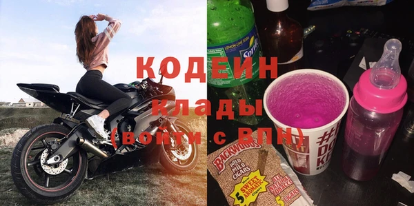 молекула духа Арсеньев
