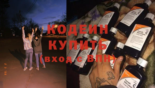молекула духа Арсеньев