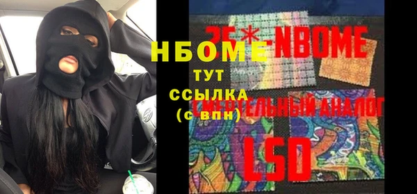 молекула духа Арсеньев