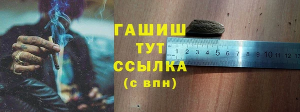 молекула духа Арсеньев