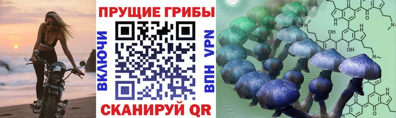 Псилоцибиновые грибы Magic Shrooms  купить наркотик  Павлово 